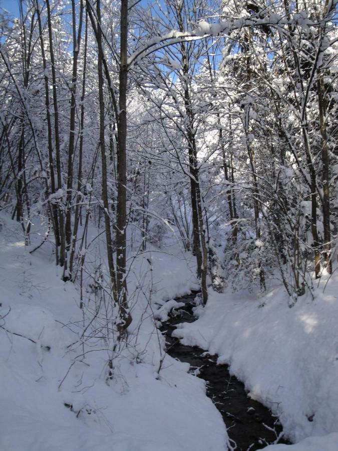 Chalet Tyrol Fügen Εξωτερικό φωτογραφία